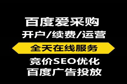 百度推广实战技巧：案例详解